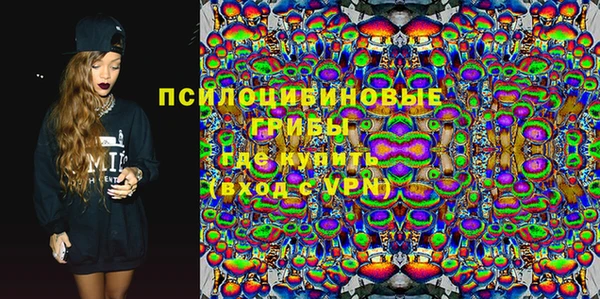 соль ск Белокуриха