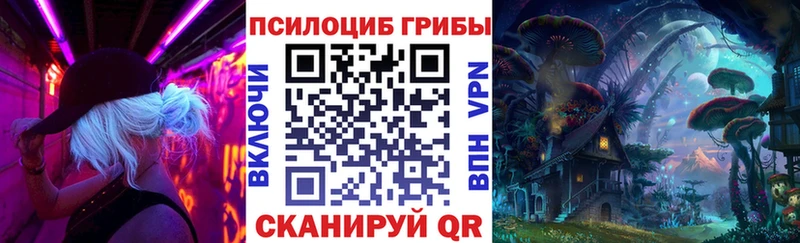 цена наркотик Красноармейск Галлюциногенные грибы MAGIC MUSHROOMS